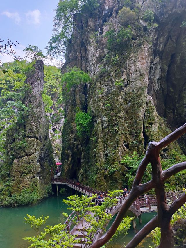 洒金公园旅行图片 2