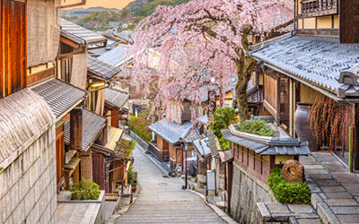 京都盛开的樱花(享受A佳福利的京都3天2晚游)