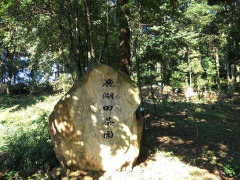 流溪河国家森林公园景点图片 7