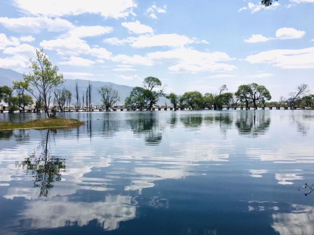 黄龙潭公园旅行图片 3