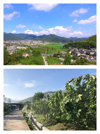 四月樱你而来|盘点安吉樱桃采摘地