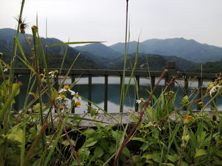 厦门天竺山西线一日游