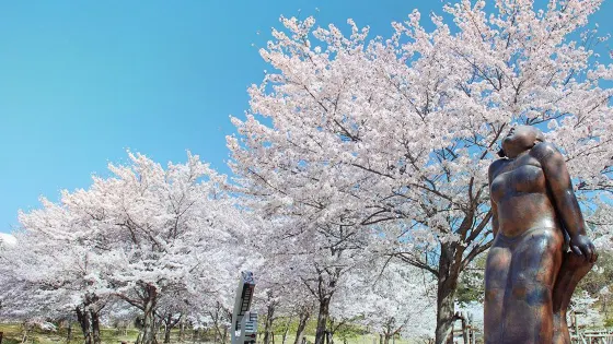 櫻之丘公園