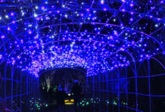 Lewis Ginter Botanical Garden景点图片