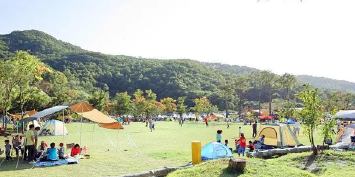 龍仁自然休養林