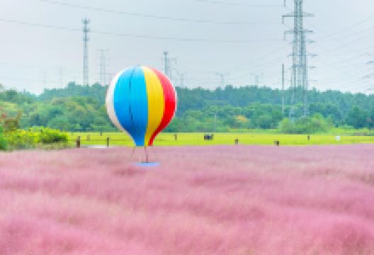 溧水区旅游图片-溧水区休闲1日游