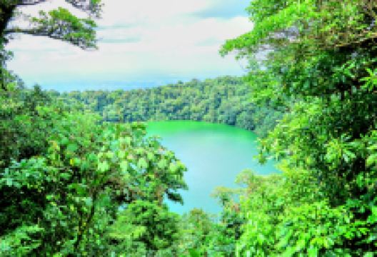 塞罗查托非国大公园与花园景点图片