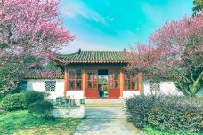 东湖梅园-武汉-习小远的视界