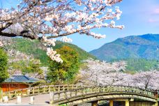 岚山-京都-尊敬的会员