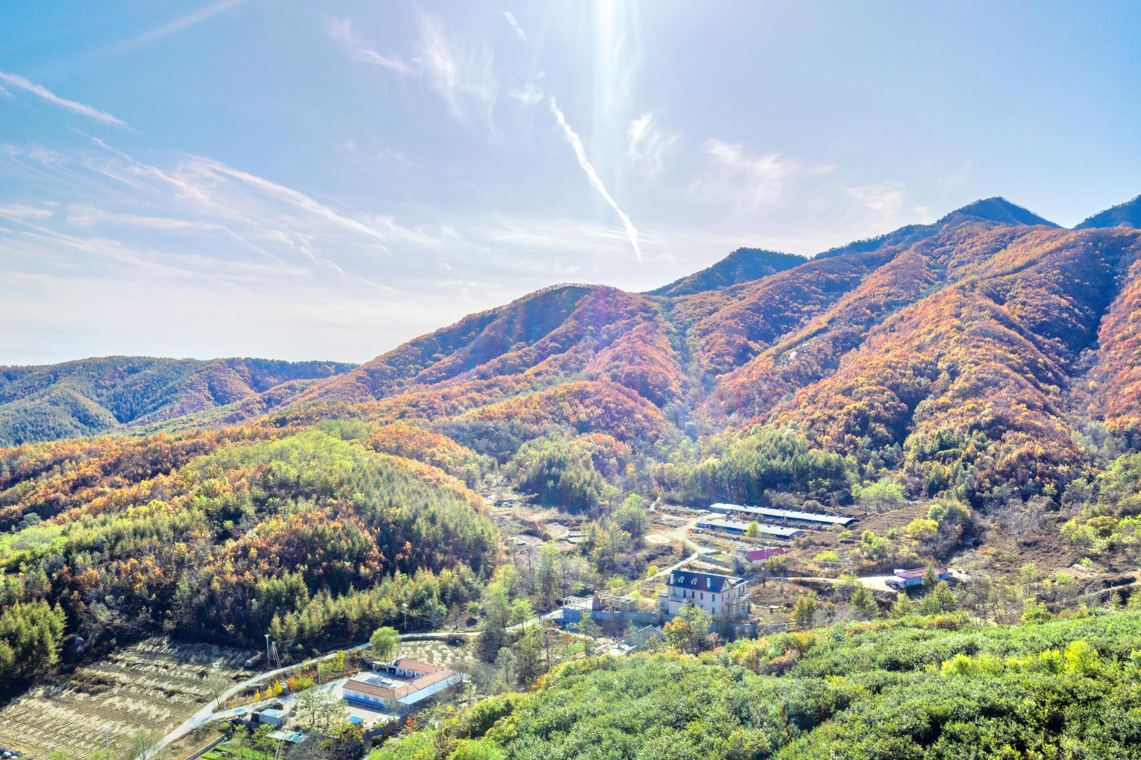 银石滩森林公园
