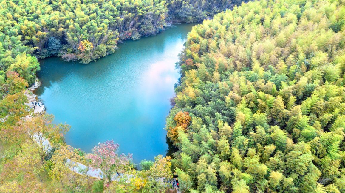 石塘竹海