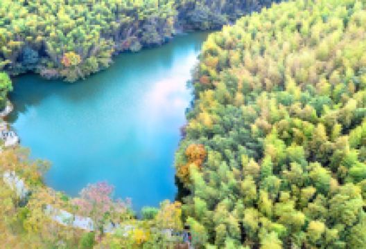石塘竹海景点图片