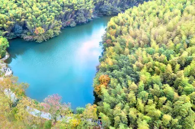 石塘竹海