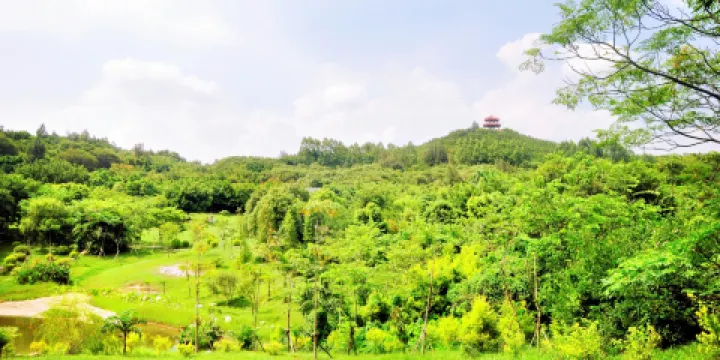 泉州森林公園