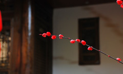 中国贡嘎山海螺沟游记图片] 2020亲子4人自驾探游西南古镇+雪山游荡20天