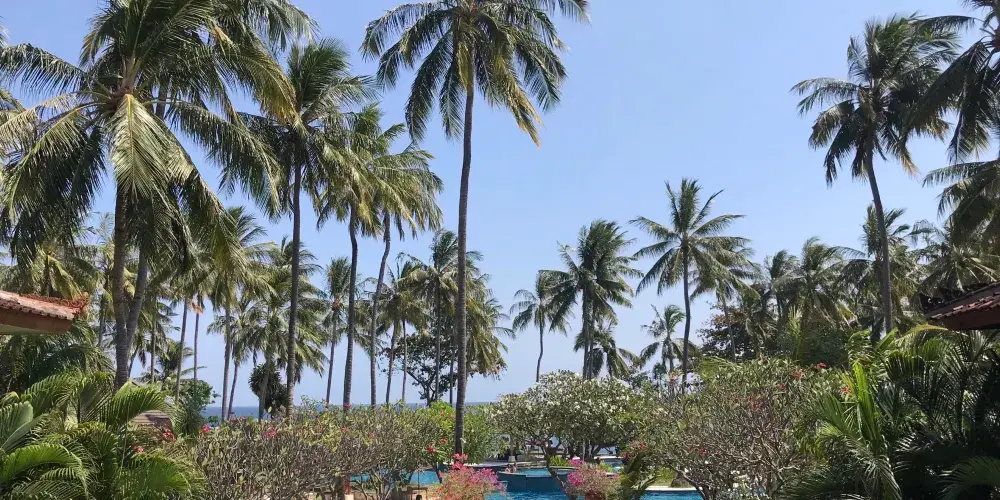 永安旅遊