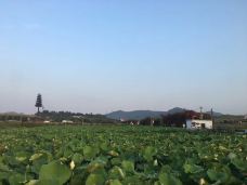 光明欢乐田园-深圳-亮亮