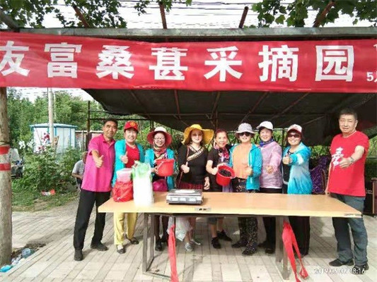 来北京大兴友富果园采摘桑椹，轻咬一颗甘甜微酸！触碰儿时记忆