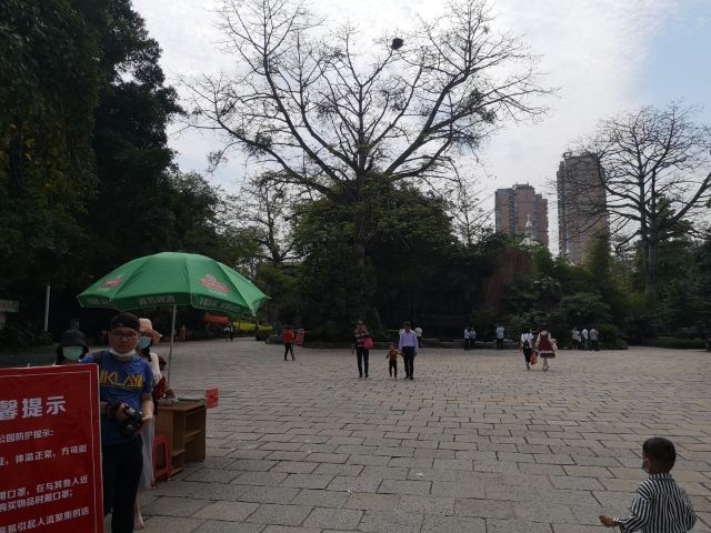 芝山公园旅行图片 1
