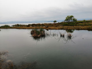 贵州8景点自驾游日记（3）-威宁草海