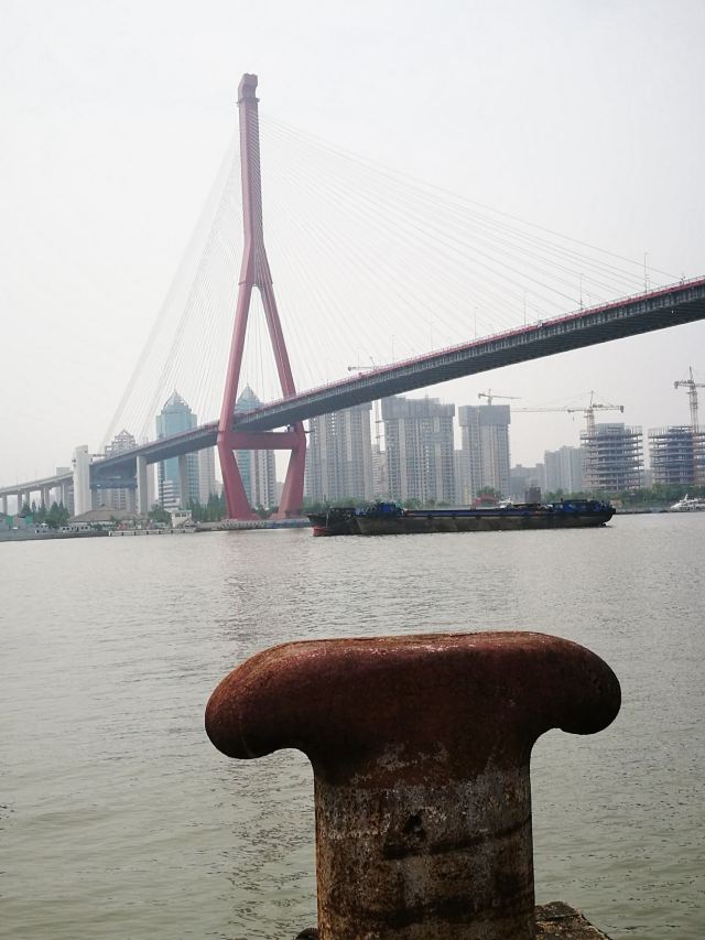 大桥公园旅行图片 2