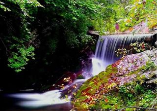 固原一日游,森林、丹霞、石窟,小众游也可以很精彩!