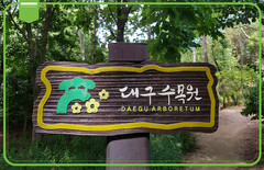 中区游记图片] 春末的治愈之旅——#大邱植物园