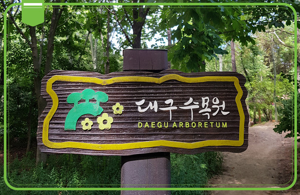 春末的治愈之旅——#大邱植物园