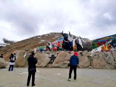 色季拉山-林芝-Shuying