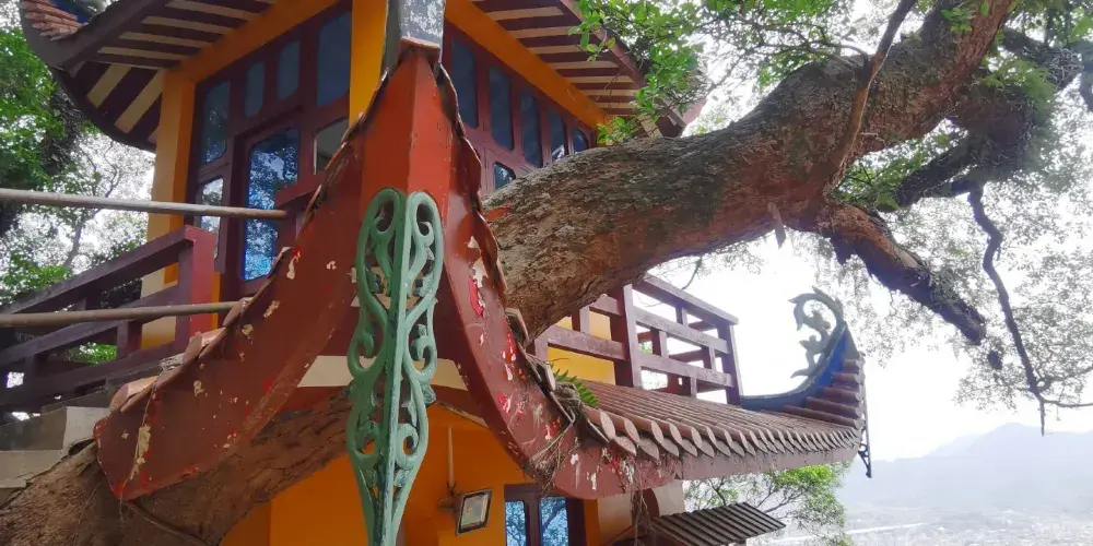 永安旅遊