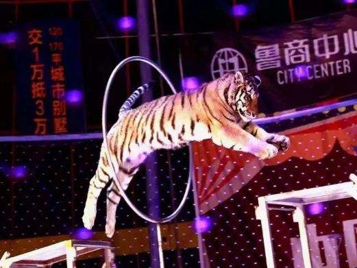 沈阳恒大文化旅游城