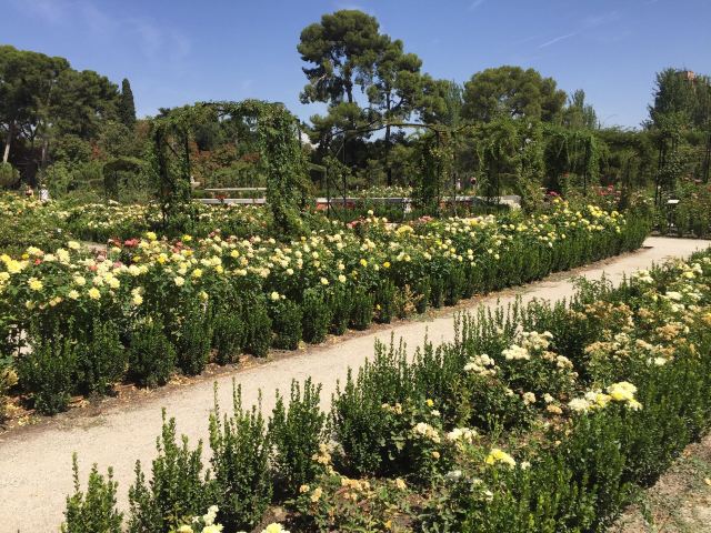 Retiro
