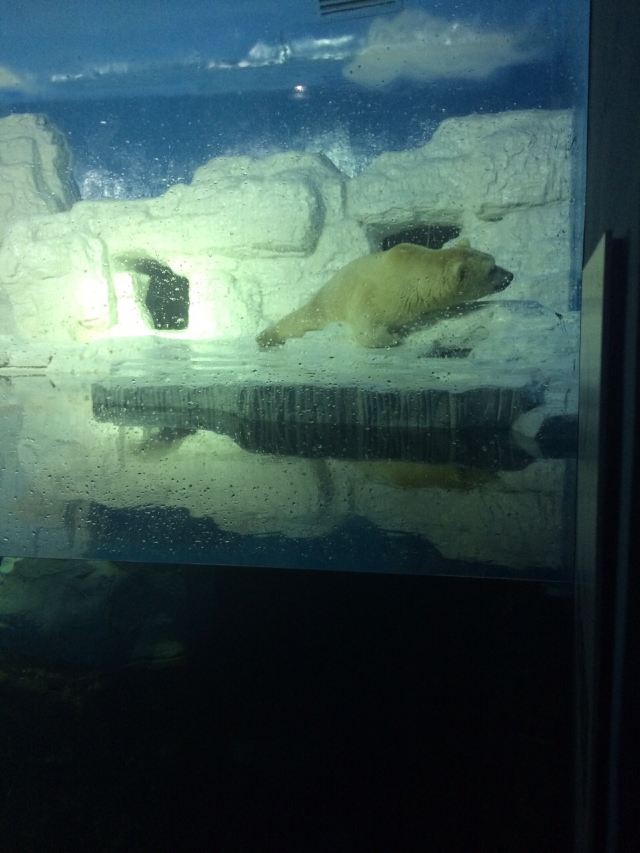 Marine Park