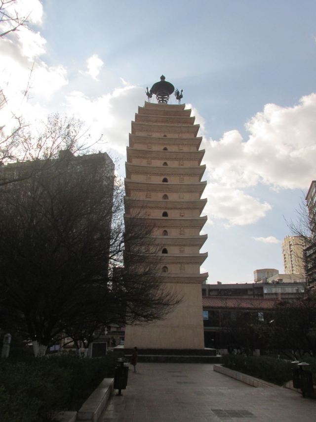 东寺塔茶花园旅行图片 2