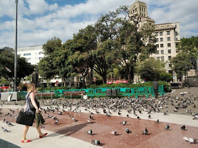 Plaça de Catalunya