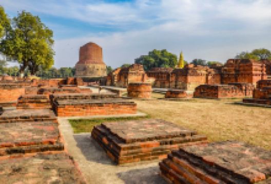 鹿野苑景点图片