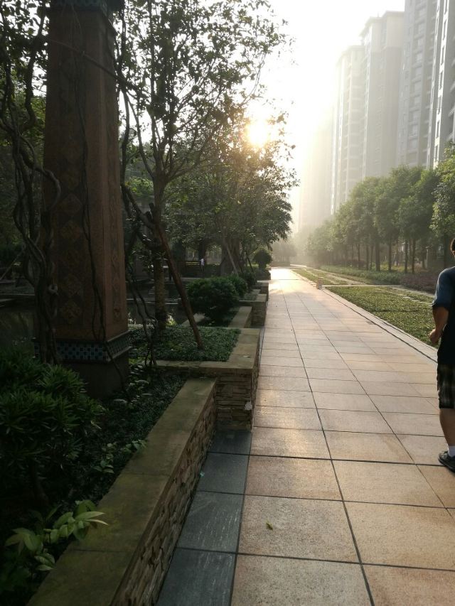 虎门炮台旅行图片 1