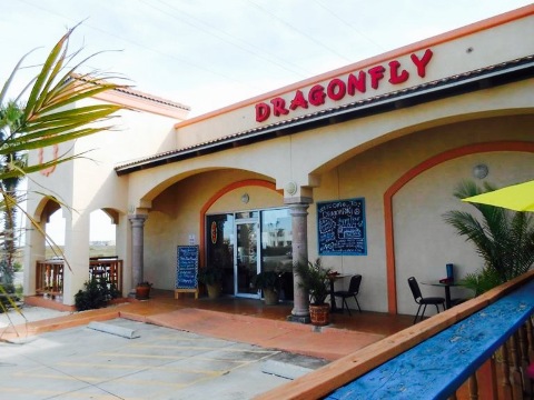 Dragonfly and Curacao Blues