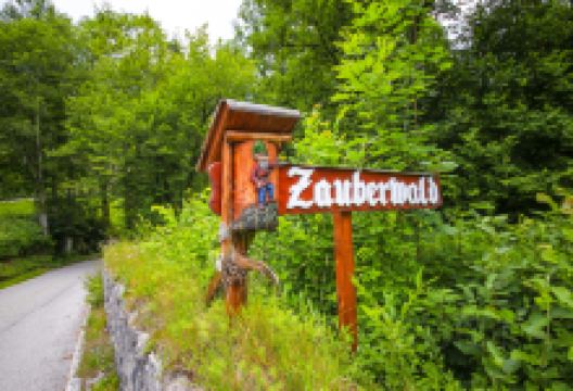 魔法森林景点图片