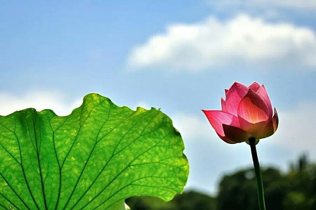 Shunfeng Mountain Park
