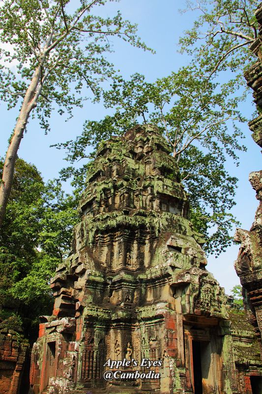 Ta Prohm