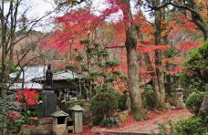 三泷寺-广岛-Karen埋