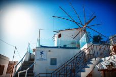 费罗斯特法尼-菲拉-doris圈圈