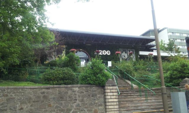 RZSS 에든버러 동물원