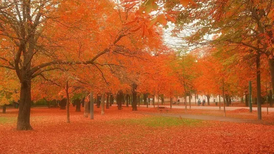 廣東湛江紅樹林國家級自然保護區
