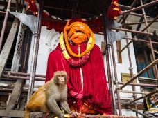 加德满都王宫广场-加德满都-doris圈圈