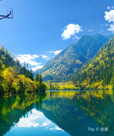 6D5N • Jiuzhaigou + Huanglong National Scenic Area + Emeishan City + Leshan: Round-the-Clock Chauffeur Service, Panda Visits & Mount Emei Boat Rides