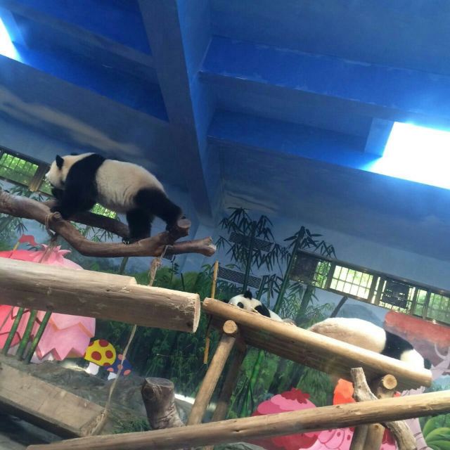 Chimelong Paradise