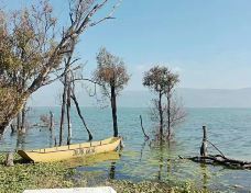 马久邑村-大理市-燕子