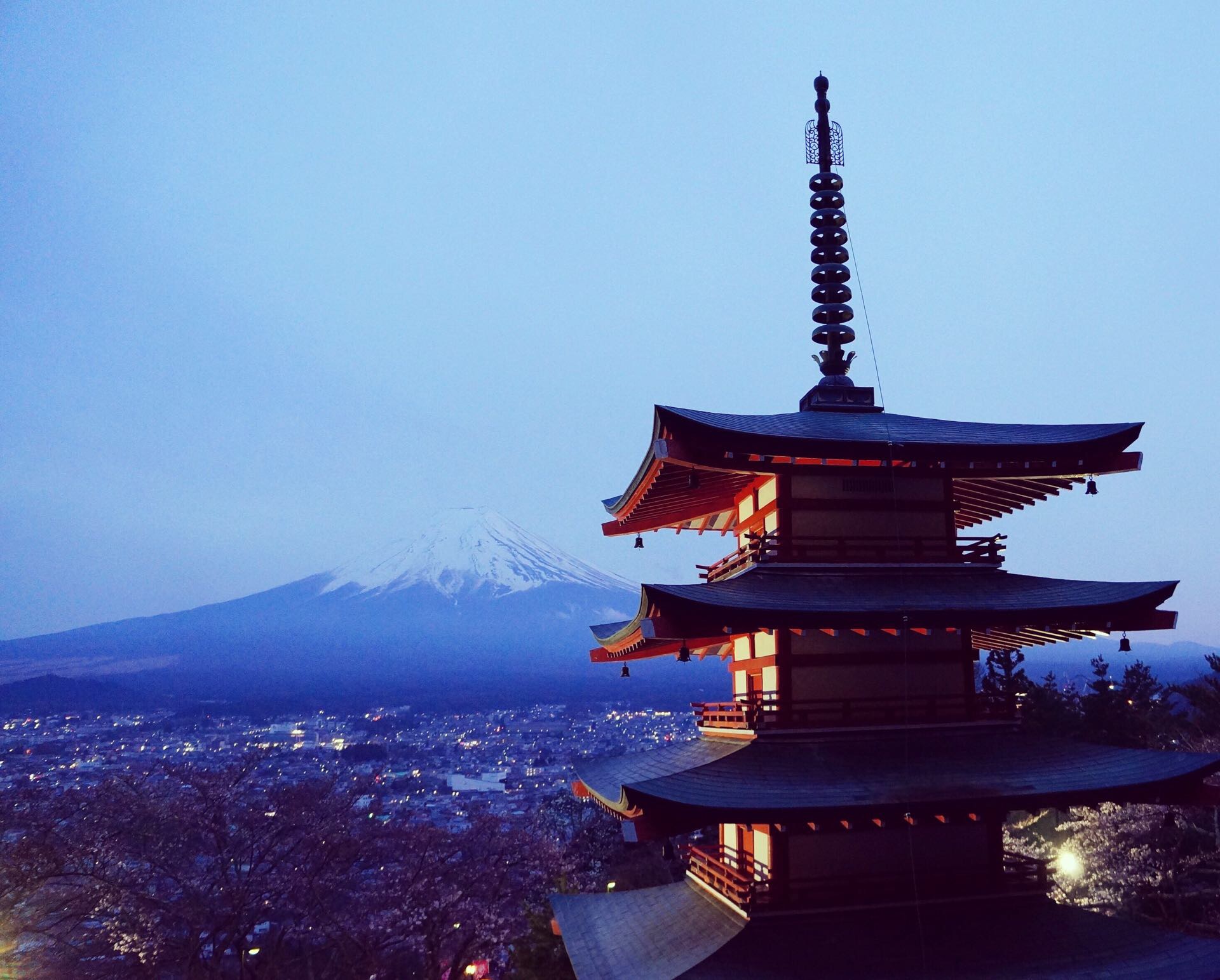 樱季赏花之🌸富士山🌸